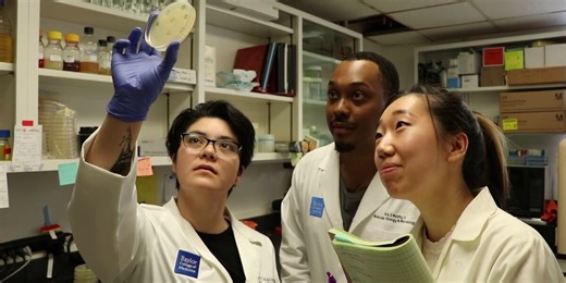 Medical Moment: Using bacteria-eating viruses to killed hard-to-stop infections