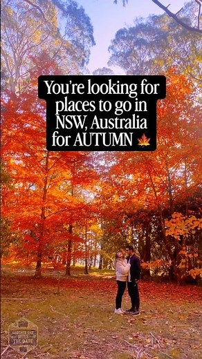 Sydney, SAVE these AUTUMN SPOTS around NSW, Australia! #sydneytravelguide #nsw #nswaustralia #autumn