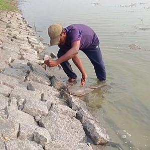 3.7M views · 61K reactions | We used prawns as bait to catch catfishe in a lake. | Abdul fishing | Facebook