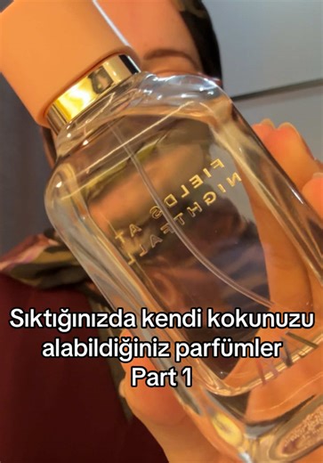 Best Fragrances to Wear at Night: Zara Perfume Recommendations