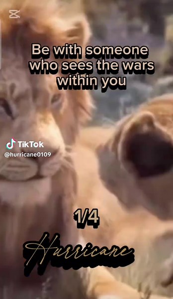 Hurricane on TikTok