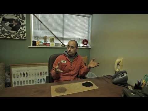 Dirt University: Bat and Seabird Guano