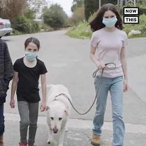 248K views · 557 reactions | Can animals get COVID-19 or pass it to humans? Here’s everything pet owners need to know about the virus | NowThis | Facebook