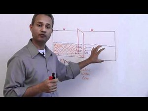 Renal Physiology Lecture 4 (Part - 1) Video Lecture - MBBS