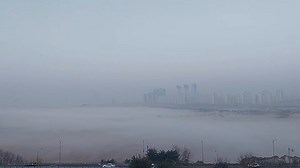 Fog Nature View - Free video on Pixabay