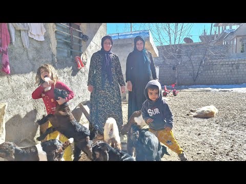 Sahar and Khairu's collaboration: A successful experience in social interaction