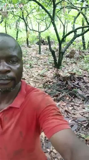 Faro Bebe comedy (@simonnjeh)’s videos with original sound - Motivation Mood