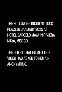 BREAKING: The following incident took place in January, 2025 at Hotel Barcelo, Riviera Maya, Mexico. The guest who filmed this has asked to remain anonymous. Though we cannot confirm, we are told that the dolphin has died following this SHOCKING and UNNECESSARY injury. Please comment, review and BOYCOTT Hotel Barcelo Maya in Riviera Maya, Mexico. #RIP | UrgentSeas
