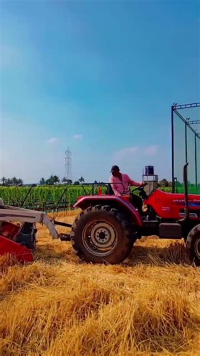 शेतकरी पुत्र 🌿🍇#शेतकरी_असाल_तर_सबस्क्राईब_कराच#trendingshorts#कमी_वयात_लागलेला_नाद#ट्रेंडिंग_वीडियो