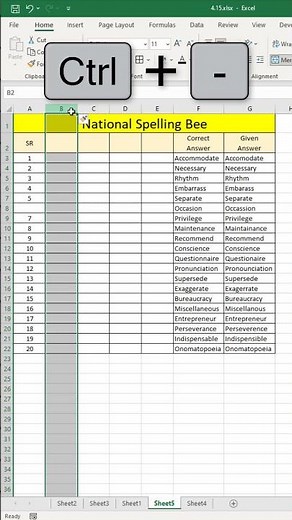 Keyboard Shortcut to Add or Remove Rows and Columns in Excel