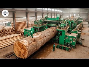 Inside America’s Futuristic Mega-Mill: How Giant Logs Become Perfect Lumber