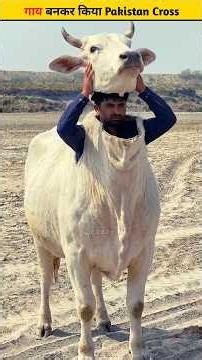 गाय बनकर किया Pakistan Cross 😱 wood working with arthhandcraftidea/home maderealtalent skill-art