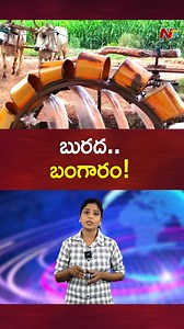 బురద.. బంగారం..! #gold #mud #windmill #NTVTelugu | Ntv Telugu