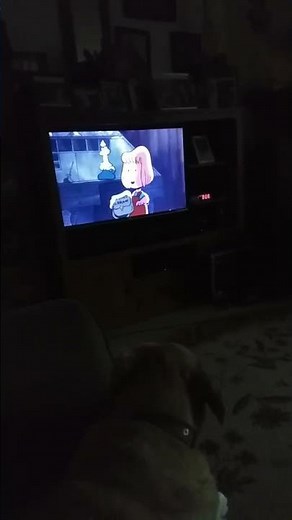 bon voyage Charlie Brown and don't come back prime video app