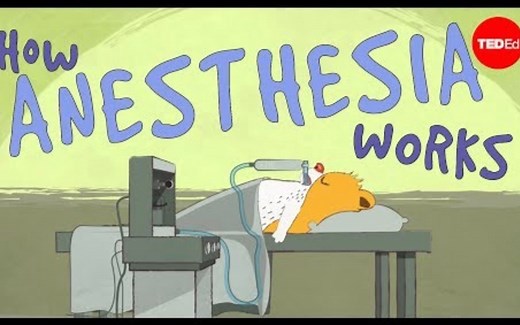 【Ted-ED】麻醉的运作原理 How Does Anesthesia Work