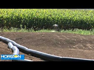 HorizonHobby.com Review - Tamiya Frog Re-Release