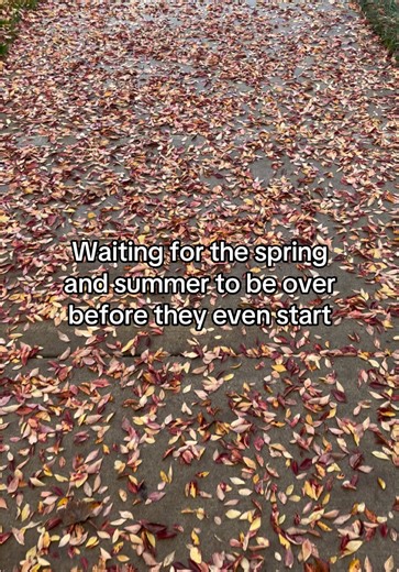 Guess which season is my favorite 👀🍂🍁 I miss the leaves on the ground. I miss the reds, the oranges, and the yellows. Fall is the best season, winter is a close second #changingseasons #fallaesthetic #coldweather #fallingleaves #autumncolours