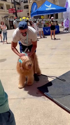 Highest jumping dog in the world? #goldendoodle #k9training #dogdad