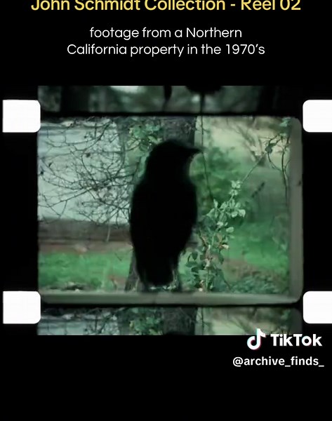 Exploring 1970s Northern California Homes