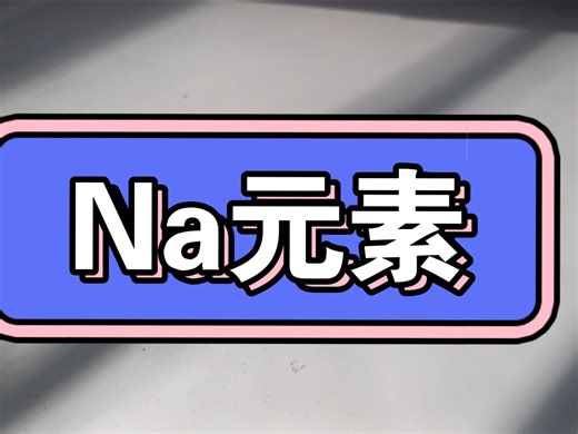 Na元素