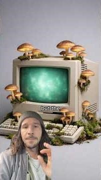 Scientists Make A Computer From Living Mushroom 🍄