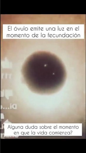 Así comprueban que la vida humana comienza con un destello de luz, irrefutable evidencia laboratorio