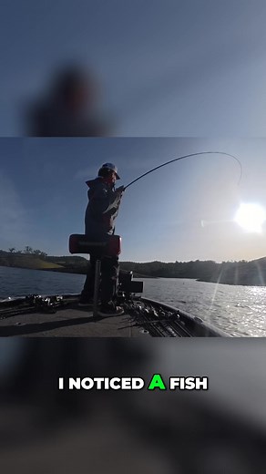A productive fishing trip using a spinnerbait leads to the discovery of suspended fish. The presentation and retrieval method proved effective. A key technique for catching more fish. #bassanglermagazine #bamtrail #SpinnerbaitFishing #SuspendedFish #FishingTips | Mark Lassagne Bass Angler Inc