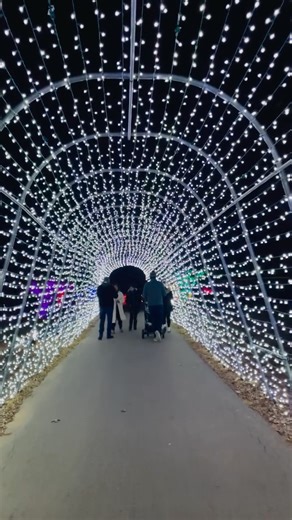 Luminance Christmas Lights in Edmond Oklahoma City