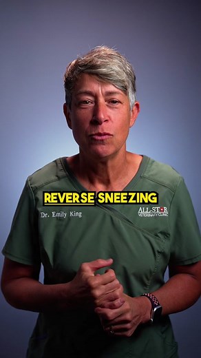 Understanding Reverse Sneezing in Dogs and Cats