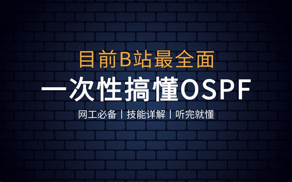 24（2）OSPF 的路由汇总