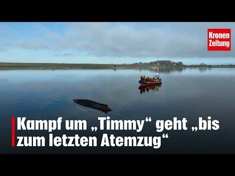 The fight for "Timmy" will go "until his last breath" | krone.tv NEWS
