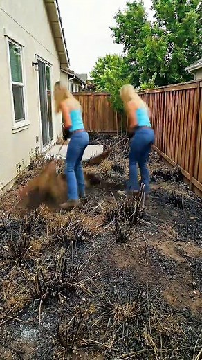 Extreme Backyard Transformation You Won't Believe