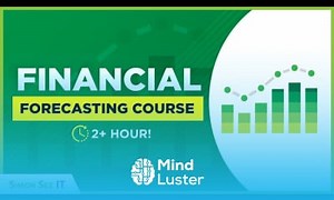 Mind Luster - Learn Financial Forecasting and Modeling 2 Hour Course