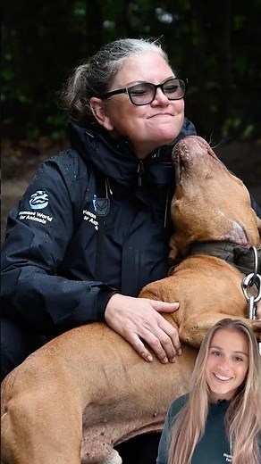 The last dog removed from suspected dogfighting in South Carolina