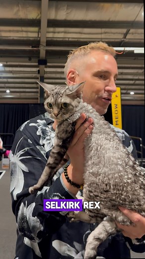 3.6K views · 293 reactions |  Curls for days and personality for...