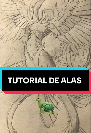 Cómo Dibujar Alas: Tutorial de Dibujo Fácil
