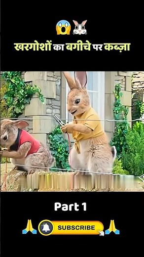 Rabbits taking over the garden😱🐰 | Peter Rabbit | movie explanation #shorts #short