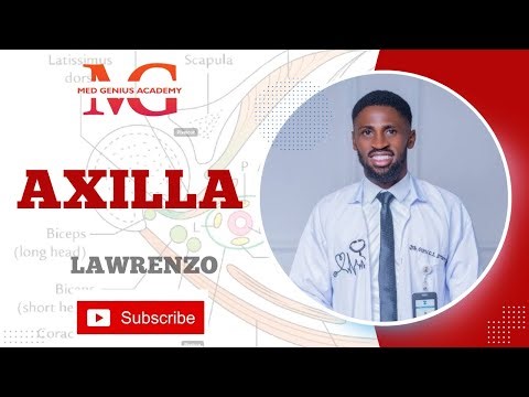 Axilla Anatomy Explained | Walls, Contents & Clinical Importance