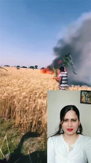 mini wood toy-wood working art skill wood/hand crafts #shorts #viral #reels #viralreelsシ2025 #Latin