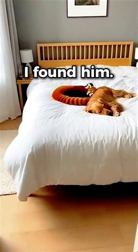 I found a lost baby red panda in the bamboo... then this happened. 🥺❤️