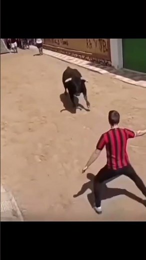 Funny Vloggers - Funny actions!