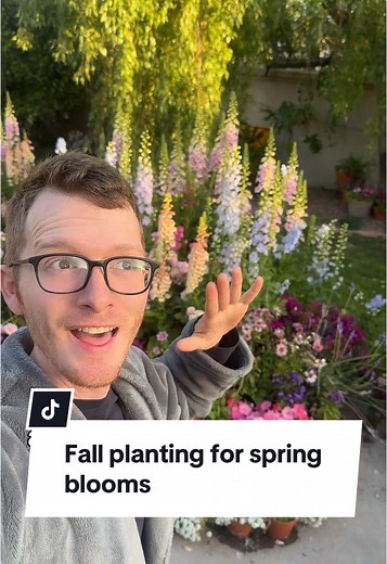 Fall Planting for Vibrant Spring Blooms