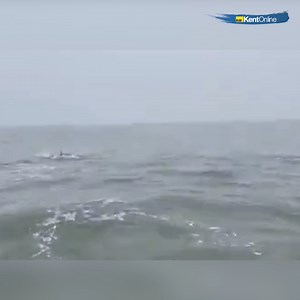 21K views · 227 reactions | This is amazing! The three men couldn't quite believe what they were watching https://buff.ly/3dpq30c | KentOnline News | Facebook