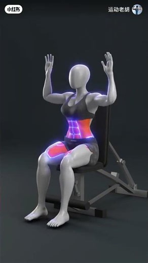 3D animation Demo of seated abdominal muscle and waistline