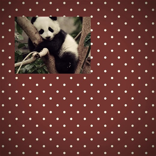 ну немного кривовато #dtkq #dnf #karlnapity #dsmp #minecraft