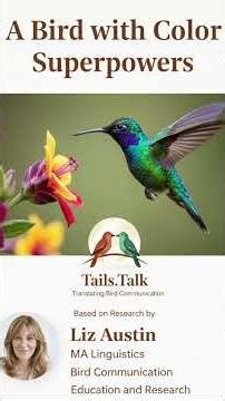 What’s the magic behind the hummingbird’s stunning color change? birdcommunication #shorts #birds