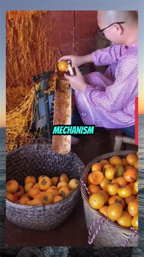 Domino Chain Reaction Explained Simply ⚙️ #shorts