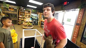 What this giant lizard was fed - and why the biology behind it matters