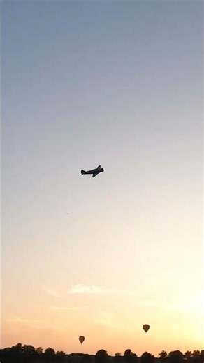 YAK11 short #aviation #rcplane