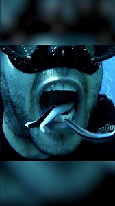 This little fish – the DENTIST of the ocean! 🐟 #shorts